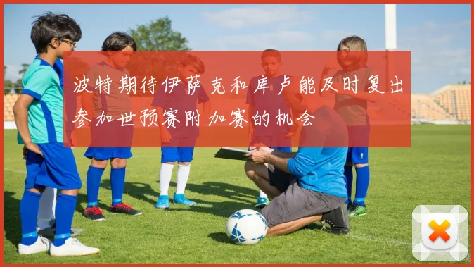 波特期待伊萨克和库卢能及时复出参加世预赛附加赛的机会